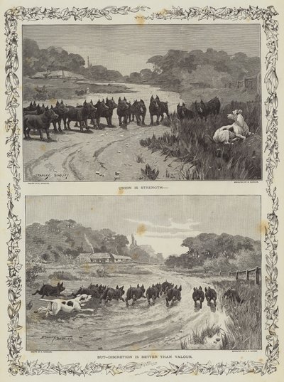 Birlik Güçtür by Stanley Berkeley